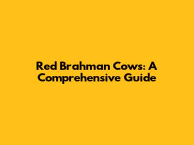Red Brahman Cows: A Comprehensive Guide