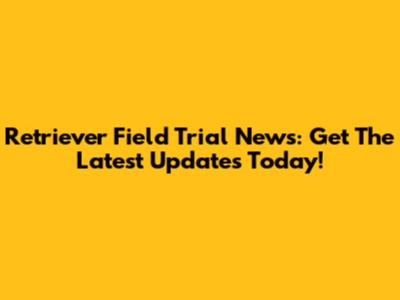 Retriever Field Trial News: Get The Latest Updates Today!