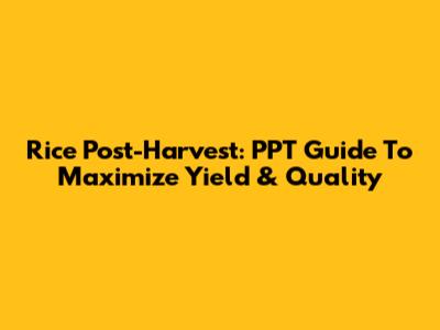 Rice Post-Harvest: PPT Guide To Maximize Yield & Quality
