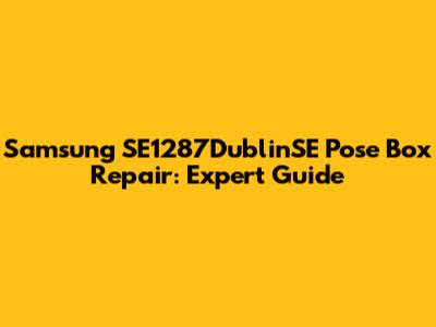 Samsung SE1287DublinSE Pose Box Repair: Expert Guide