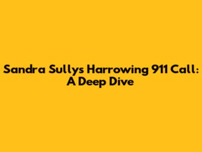 Sandra Sully's Harrowing 911 Call: A Deep Dive