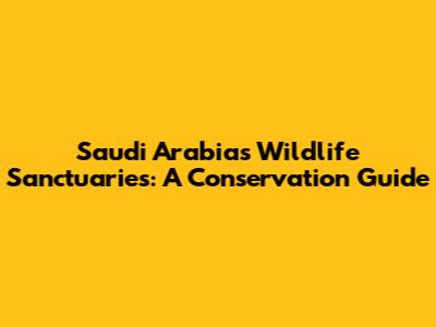 Saudi Arabia's Wildlife Sanctuaries: A Conservation Guide