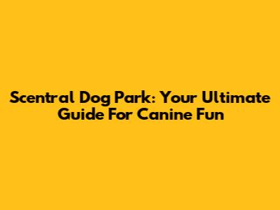 Scentral Dog Park: Your Ultimate Guide For Canine Fun