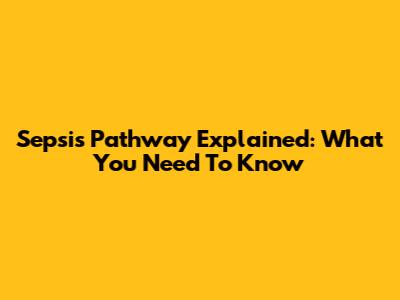 Sepsis Pathway Explained: What You Need To Know