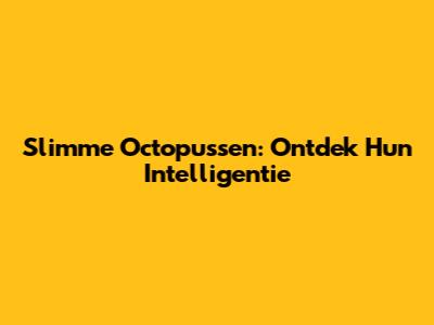Slimme Octopussen: Ontdek Hun Intelligentie