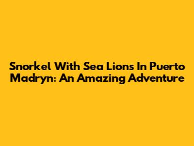 Snorkel With Sea Lions In Puerto Madryn: An Amazing Adventure