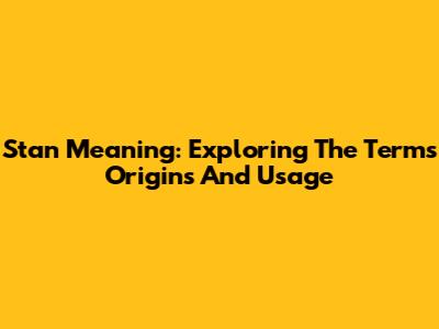 Stan Meaning: Exploring The Term's Origins And Usage