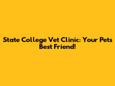 State College Vet Clinic: Your Pet's Best Friend!