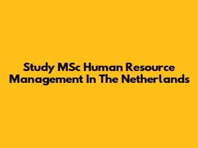 Study MSc Human Resource Management In The Netherlands