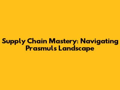 Supply Chain Mastery: Navigating Prasmul's Landscape