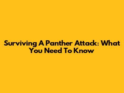 Surviving A Panther Attack: What You Need To Know
