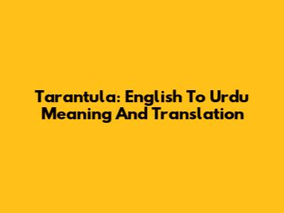 Tarantula: English To Urdu Meaning And Translation