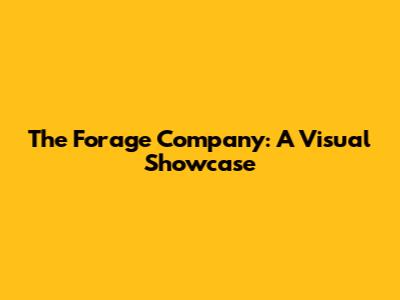 The Forage Company: A Visual Showcase