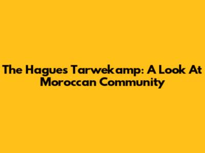 The Hague's Tarwekamp: A Look At Moroccan Community