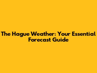 The Hague Weather: Your Essential Forecast Guide