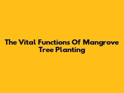The Vital Functions Of Mangrove Tree Planting