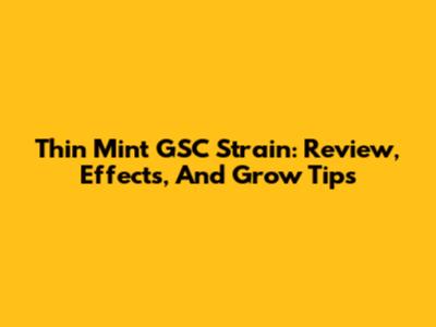 Thin Mint GSC Strain: Review, Effects, And Grow Tips