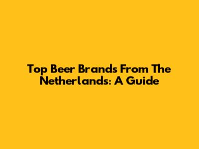 Top Beer Brands From The Netherlands: A Guide