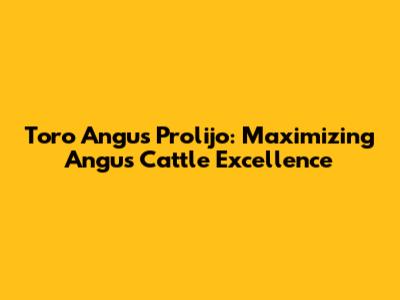 Toro Angus Prolijo: Maximizing Angus Cattle Excellence