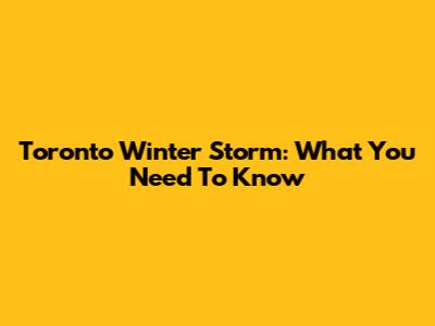 Toronto Winter Storm: What You Need To Know