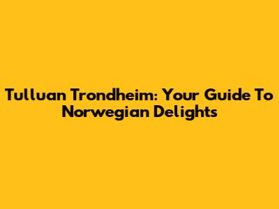 Tulluan Trondheim: Your Guide To Norwegian Delights