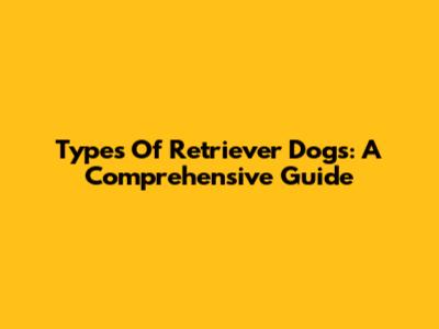 Types Of Retriever Dogs: A Comprehensive Guide