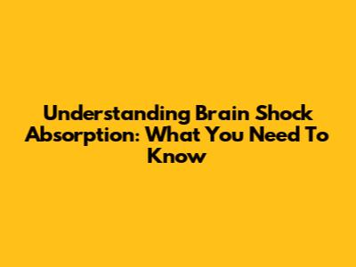 Understanding Brain Shock Absorption: What You Need To Know