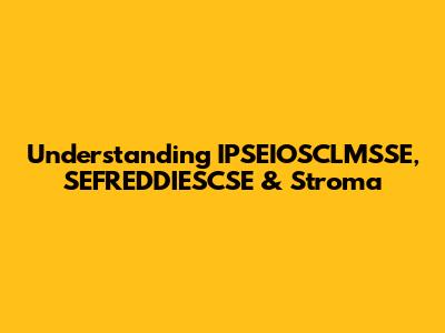 Understanding IPSEIOSCLMSSE, SEFREDDIESCSE & Stroma