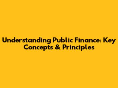 Understanding Public Finance: Key Concepts & Principles