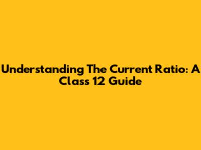 Understanding The Current Ratio: A Class 12 Guide