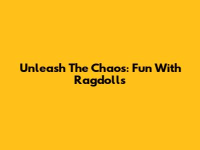 Unleash The Chaos: Fun With Ragdolls