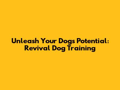Unleash Your Dog's Potential: Revival Dog Training