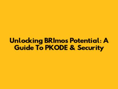 Unlocking BRImo's Potential: A Guide To PKODE & Security