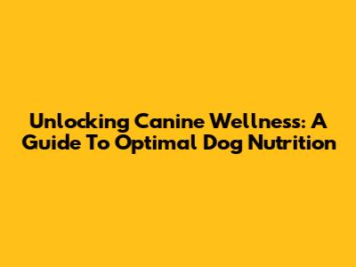 Unlocking Canine Wellness: A Guide To Optimal Dog Nutrition