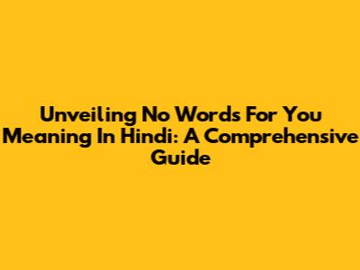 Unveiling 'No Words For You' Meaning In Hindi: A Comprehensive Guide