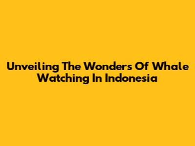 Unveiling The Wonders Of Whale Watching In Indonesia