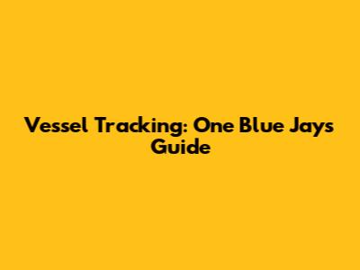 Vessel Tracking: One Blue Jay's Guide