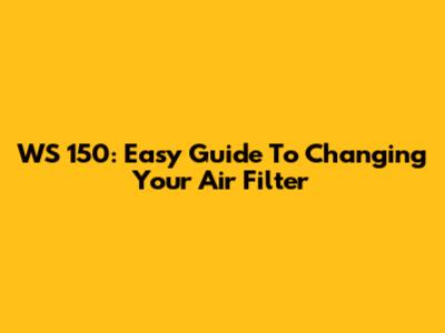 WS 150: Easy Guide To Changing Your Air Filter