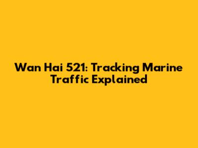 Wan Hai 521: Tracking Marine Traffic Explained