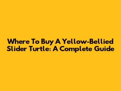 Where To Buy A Yellow-Bellied Slider Turtle: A Complete Guide