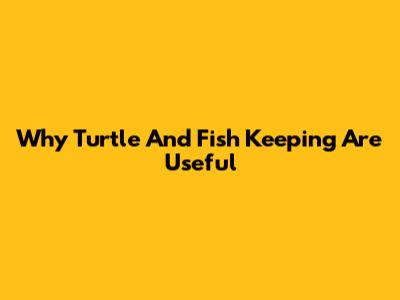 Why Turtle And Fish Keeping Are Useful