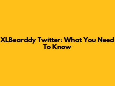 XLBearddy Twitter: What You Need To Know