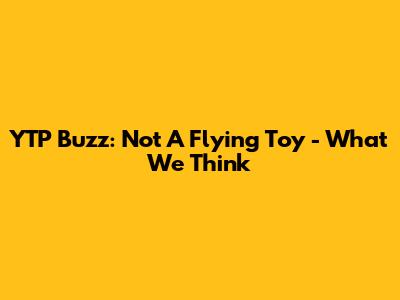 YTP Buzz: Not A Flying Toy - What We Think