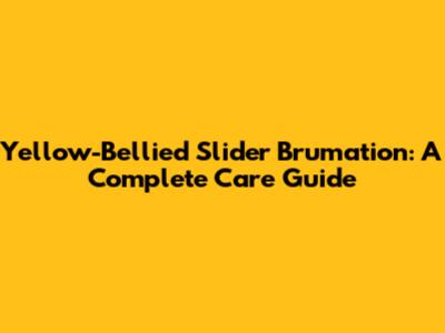 Yellow-Bellied Slider Brumation: A Complete Care Guide