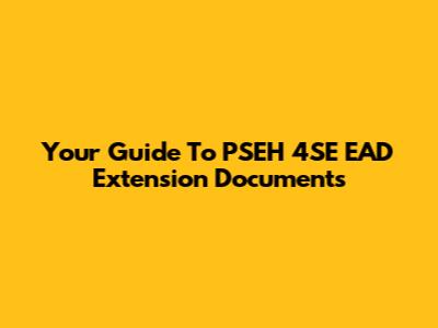 Your Guide To PSEH 4SE EAD Extension Documents