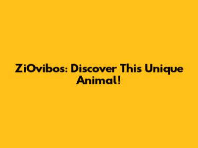 ZiOvibos: Discover This Unique Animal!