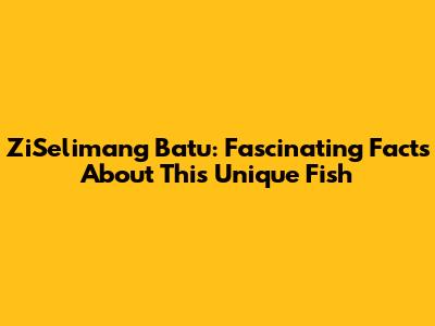 ZiSelimang Batu: Fascinating Facts About This Unique Fish