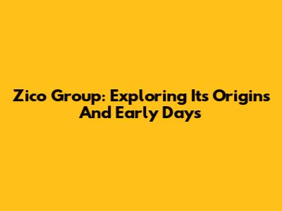 Zico Group: Exploring Its Origins And Early Days